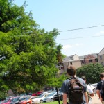 Heading back to Hills