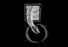 Local Band: Cottonmouth