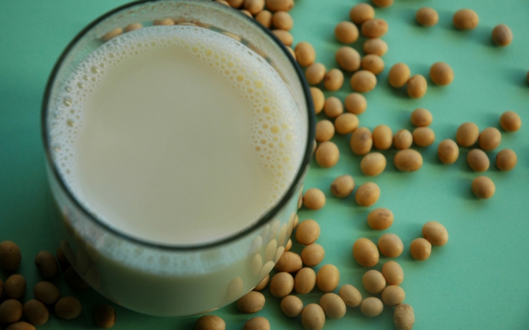 Student Perspective: SNU Dining