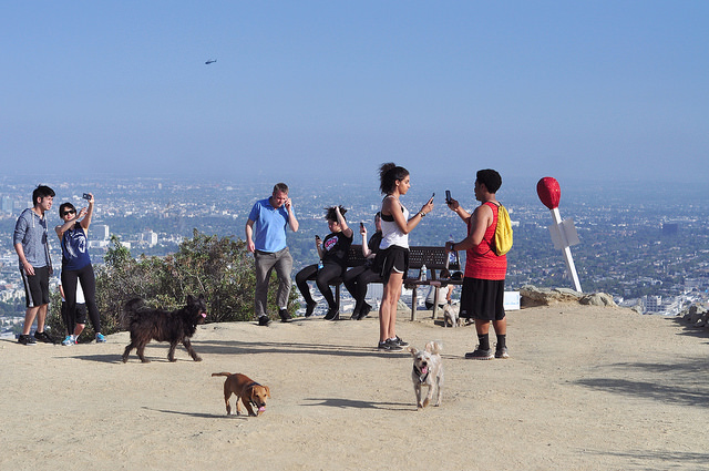 Tech Talk: Best Type of Phone