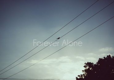 All the Single Ladies: How to Rock the Single Life at SNU