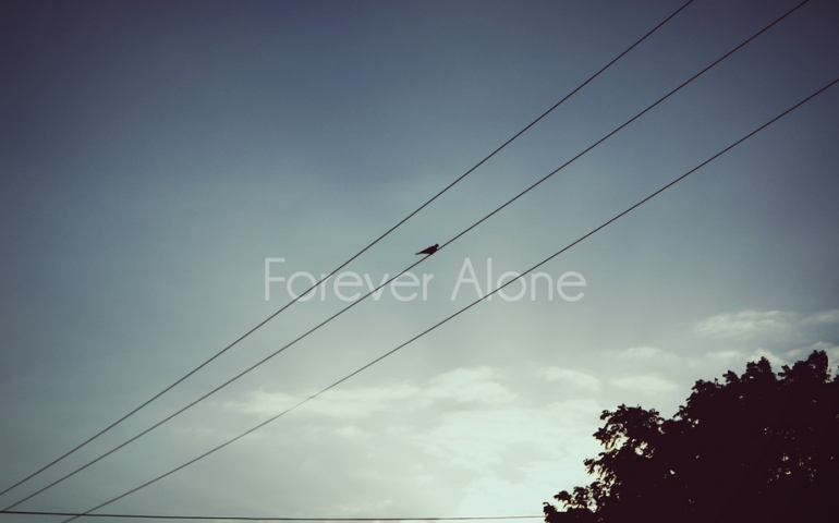 All the Single Ladies: How to Rock the Single Life at SNU