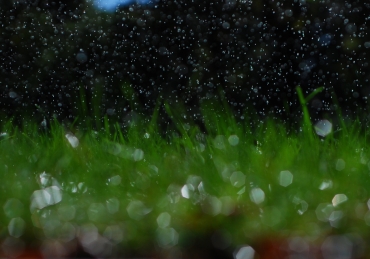 Killer Sprinklers: SNU’s irrigation system