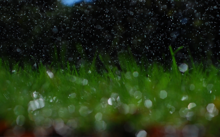 Killer Sprinklers: SNU’s irrigation system