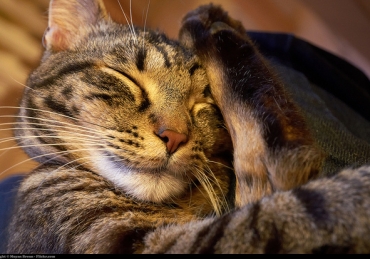 Top 5 Places to Nap on Campus: Winter Edition