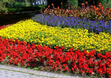 Visit from Open Door Ministries in Romania