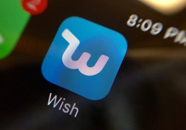 All You Could Wish For