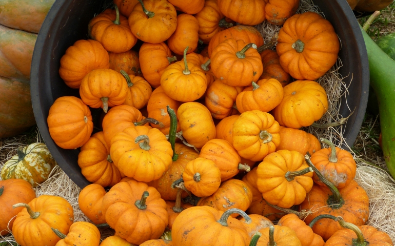 Multicultural Fright Fest