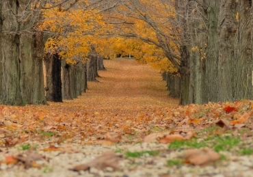 November Reflections