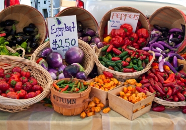 Taking Steps Toward Diet Awareness