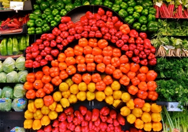 Nutrition Discipline in Sports at SNU