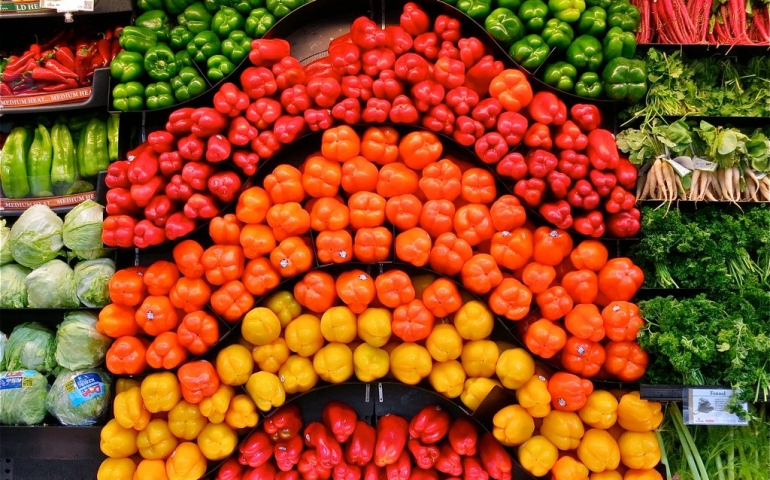 Nutrition Discipline in Sports at SNU