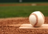 Baseball Field Renovations
