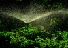 When Sprinklers Attack