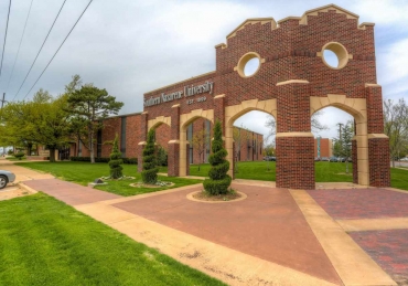 The Impact of NSI Mentors