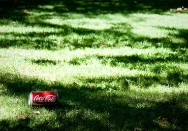 SNU Students Help Clean Up Litter
