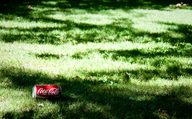 SNU Students Help Clean Up Litter