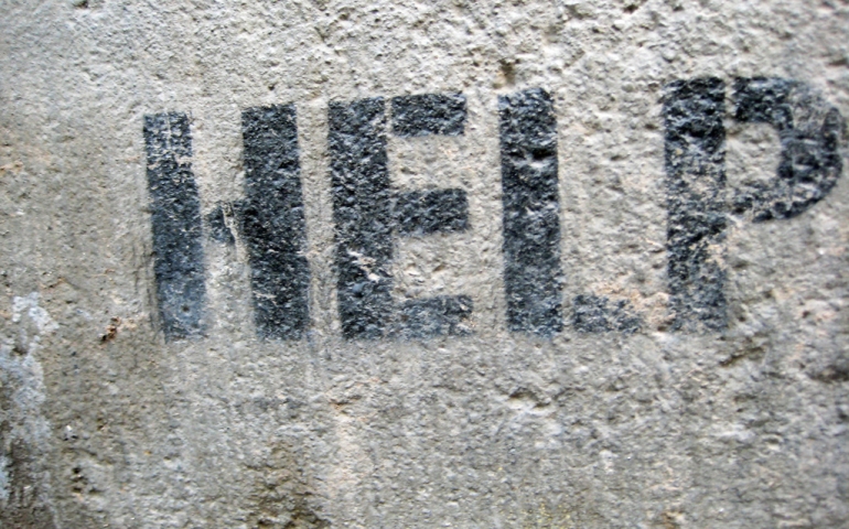 Volunteer Opportunities For Students