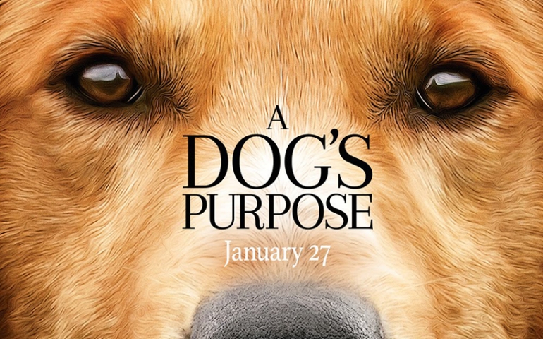 In Review: A Dog’s Purpose