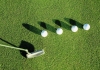 Insight into SNU Golf Team