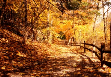 The Trailblazers of SNU