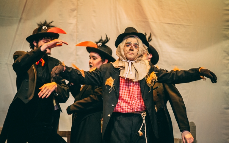 The Scarecrow and crows