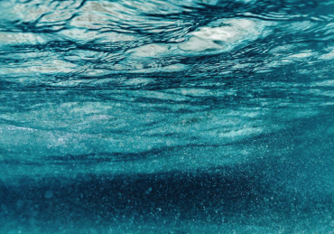 Underwater Hockey at SNU