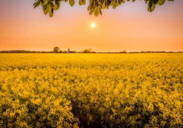 Daylight Saving: Do We Need It?