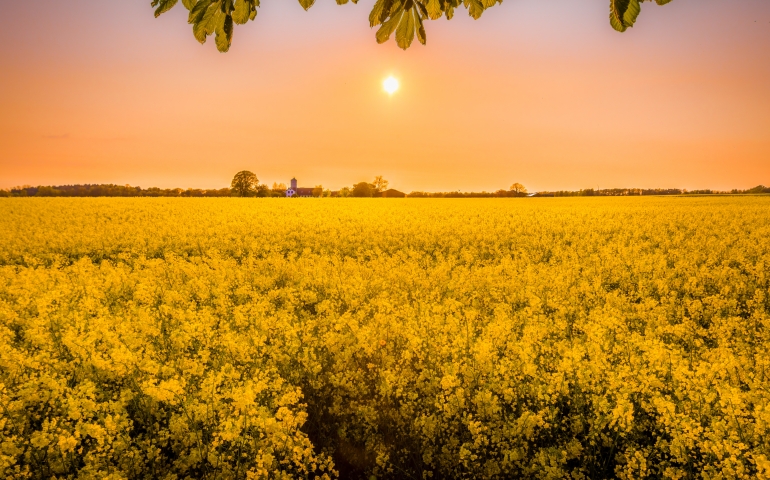 Daylight Saving: Do We Need It?