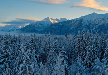 “Our Planet” Review: Earth’s Mightiest Connections