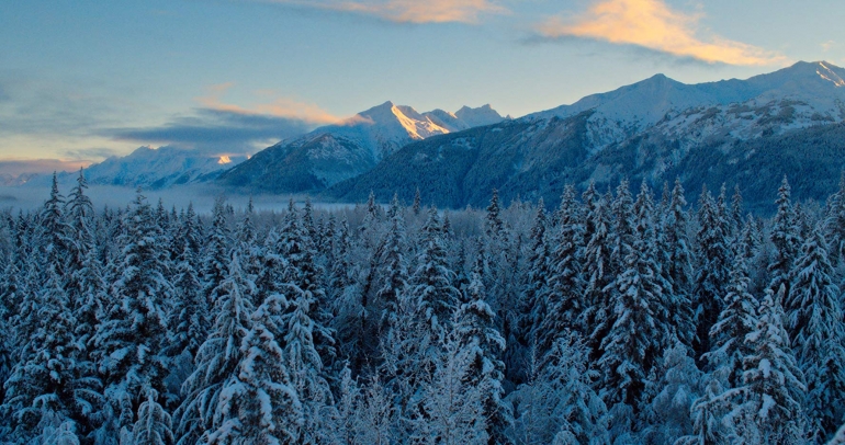 “Our Planet” Review: Earth’s Mightiest Connections