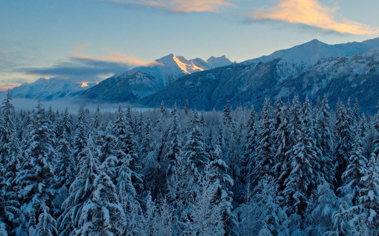 “Our Planet” Review: Earth’s Mightiest Connections