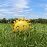 A sunshine balloon smiling in the grass