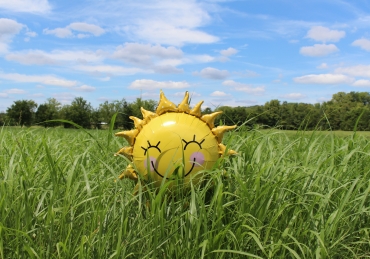 8 Ways to Play in the Sunshine at SNU