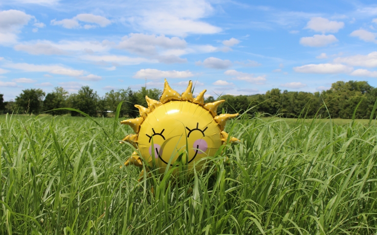 8 Ways to Play in the Sunshine at SNU