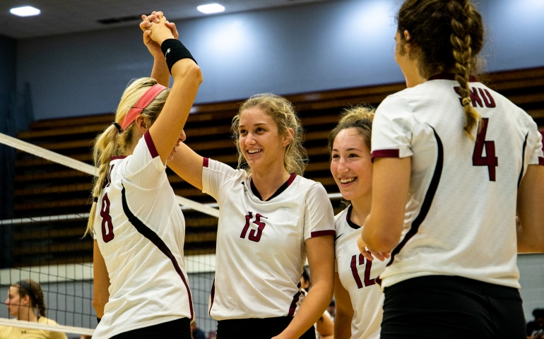 Volleyball players high fiving each other