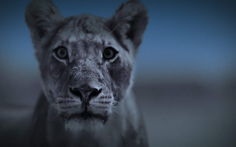 “Night on Earth”: Netflix’s Newest Documentary Brings Nightlife to LIfe