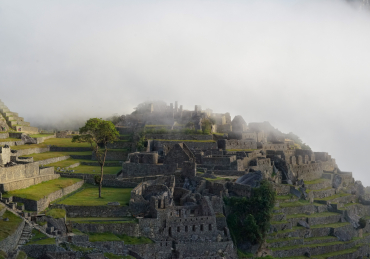 The Lost City Movie Review