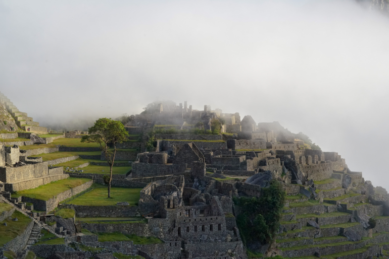 The Lost City Movie Review