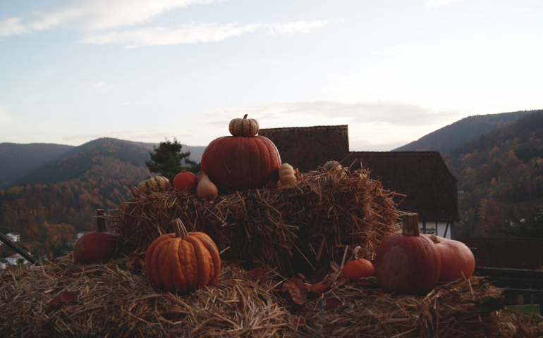 Fun Things to Do for Halloween in OKC