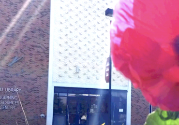 How to Best Utilize the SNU Library