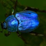 Photo by James Wainscoat on Unsplash