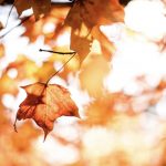 Photo by Matt on Unsplash