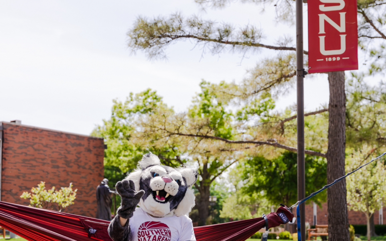 Springing into the New Year