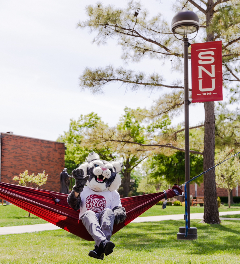 Springing into the New Year