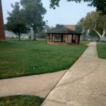 photo by amira cooper-stennis