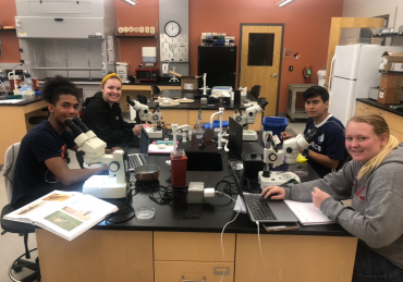 A Sun-Kissed Journey Through Research