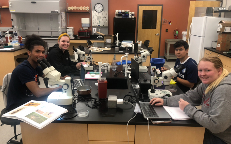 A Sun-Kissed Journey Through Research