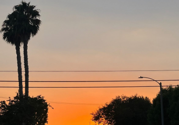 Summer on the Horizon: How SNU Students Are Spending Their Break 