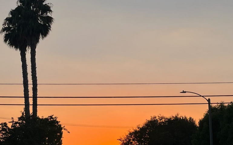 Summer on the Horizon: How SNU Students Are Spending Their Break 